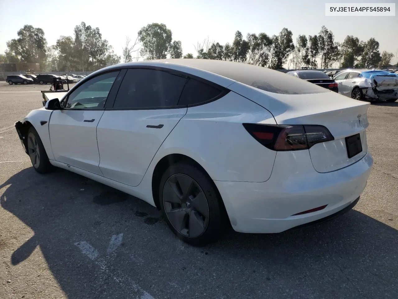 2023 Tesla Model 3 VIN: 5YJ3E1EA4PF545894 Lot: 61081324