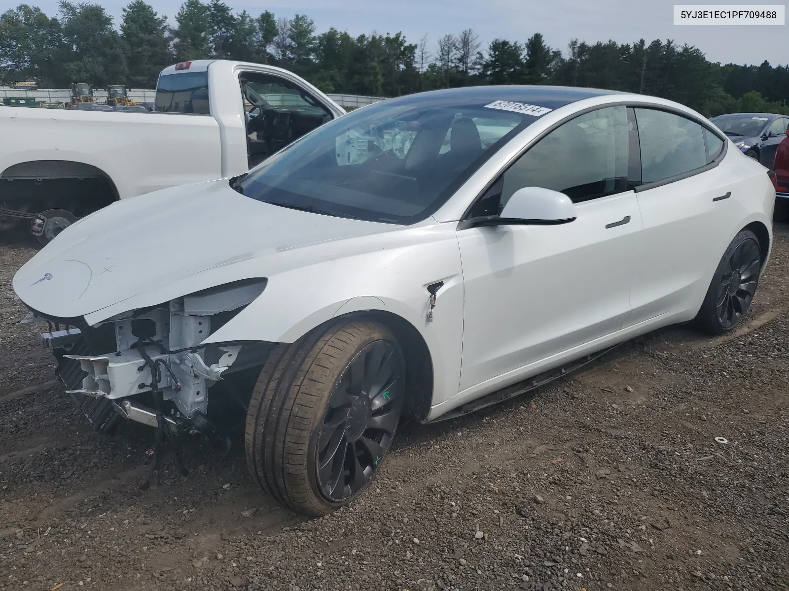 2023 Tesla Model 3 VIN: 5YJ3E1EC1PF709488 Lot: 62018514