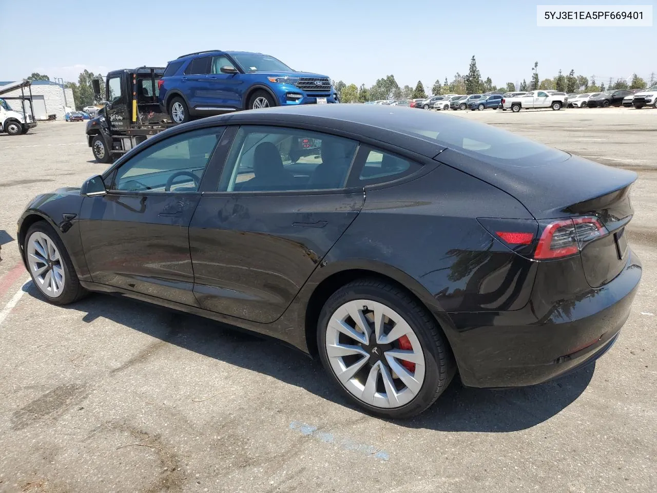 2023 Tesla Model 3 VIN: 5YJ3E1EA5PF669401 Lot: 62280564