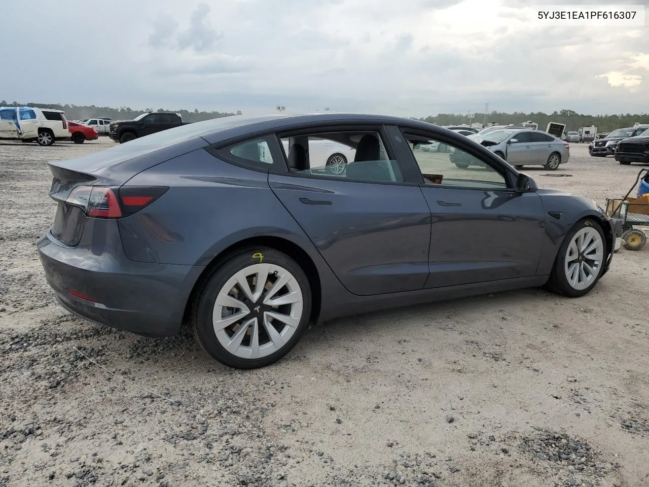 2023 Tesla Model 3 VIN: 5YJ3E1EA1PF616307 Lot: 62497984