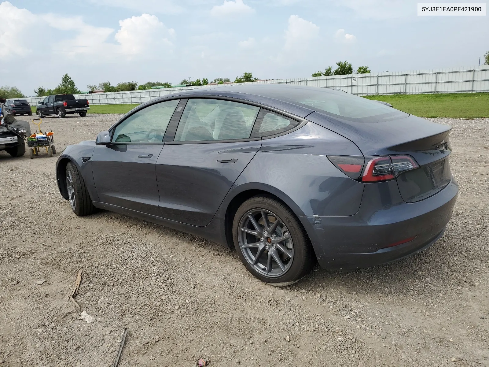 2023 Tesla Model 3 VIN: 5YJ3E1EA0PF421900 Lot: 62847084