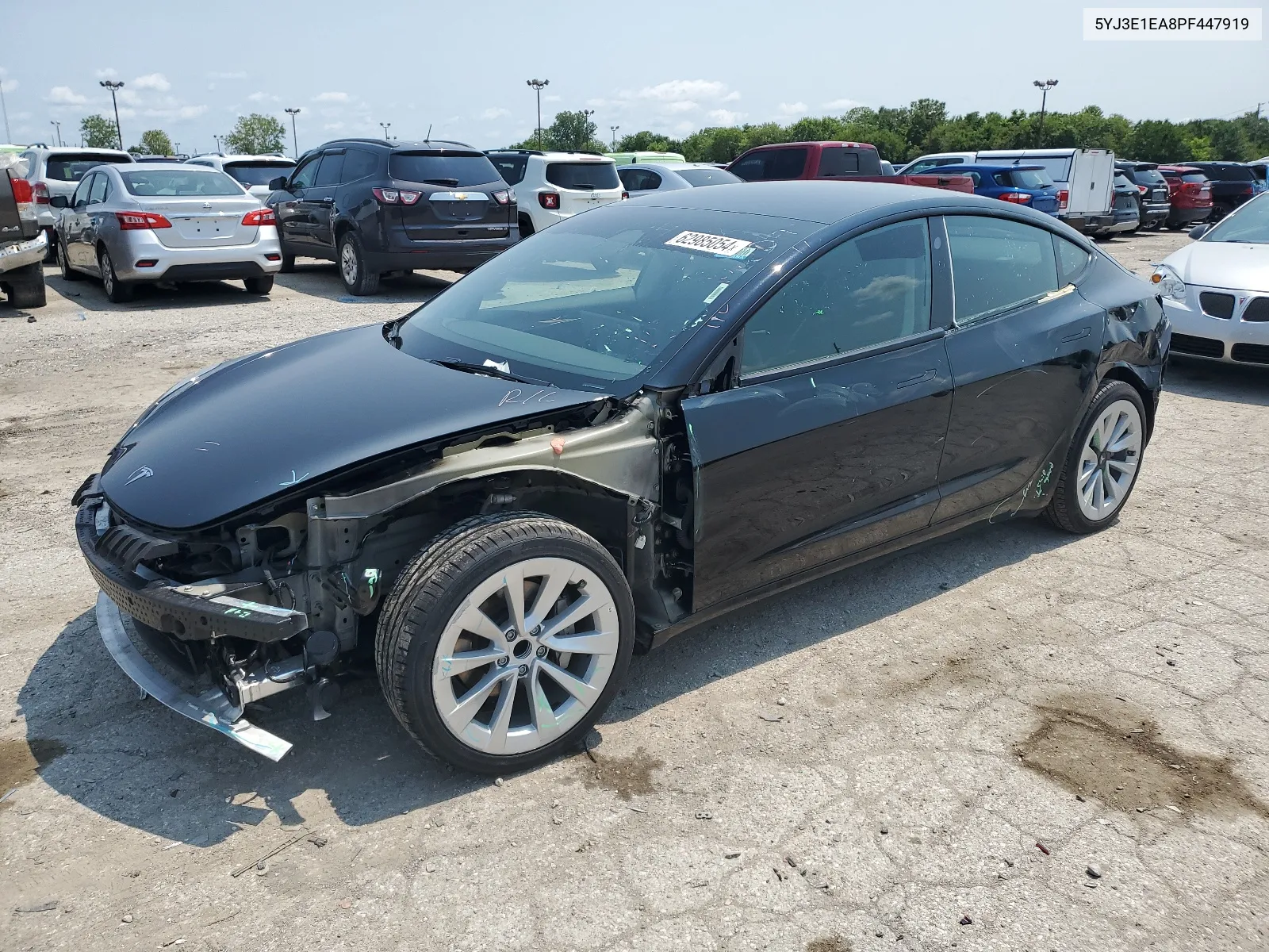 2023 Tesla Model 3 VIN: 5YJ3E1EA8PF447919 Lot: 62985054