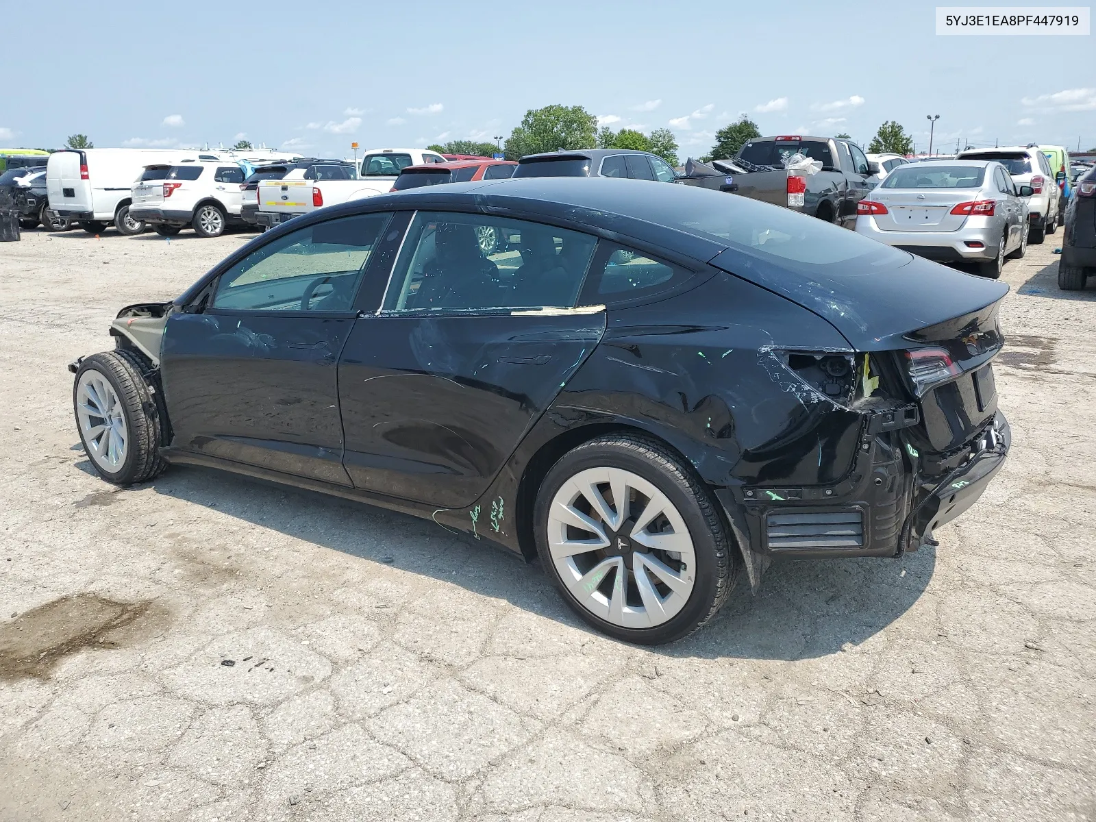 2023 Tesla Model 3 VIN: 5YJ3E1EA8PF447919 Lot: 62985054