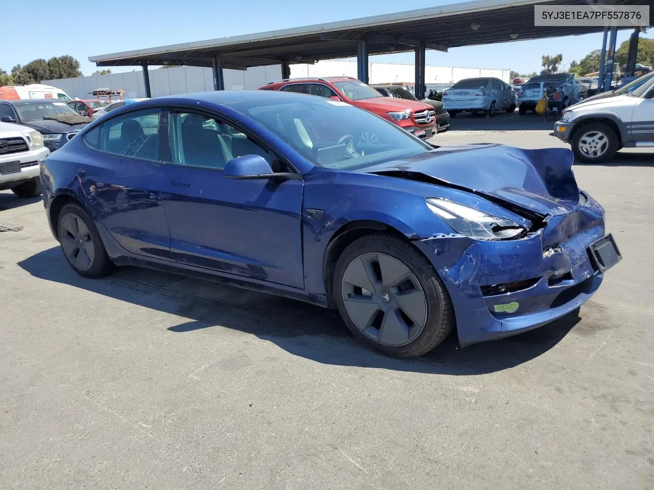 2023 Tesla Model 3 VIN: 5YJ3E1EA7PF557876 Lot: 63450304