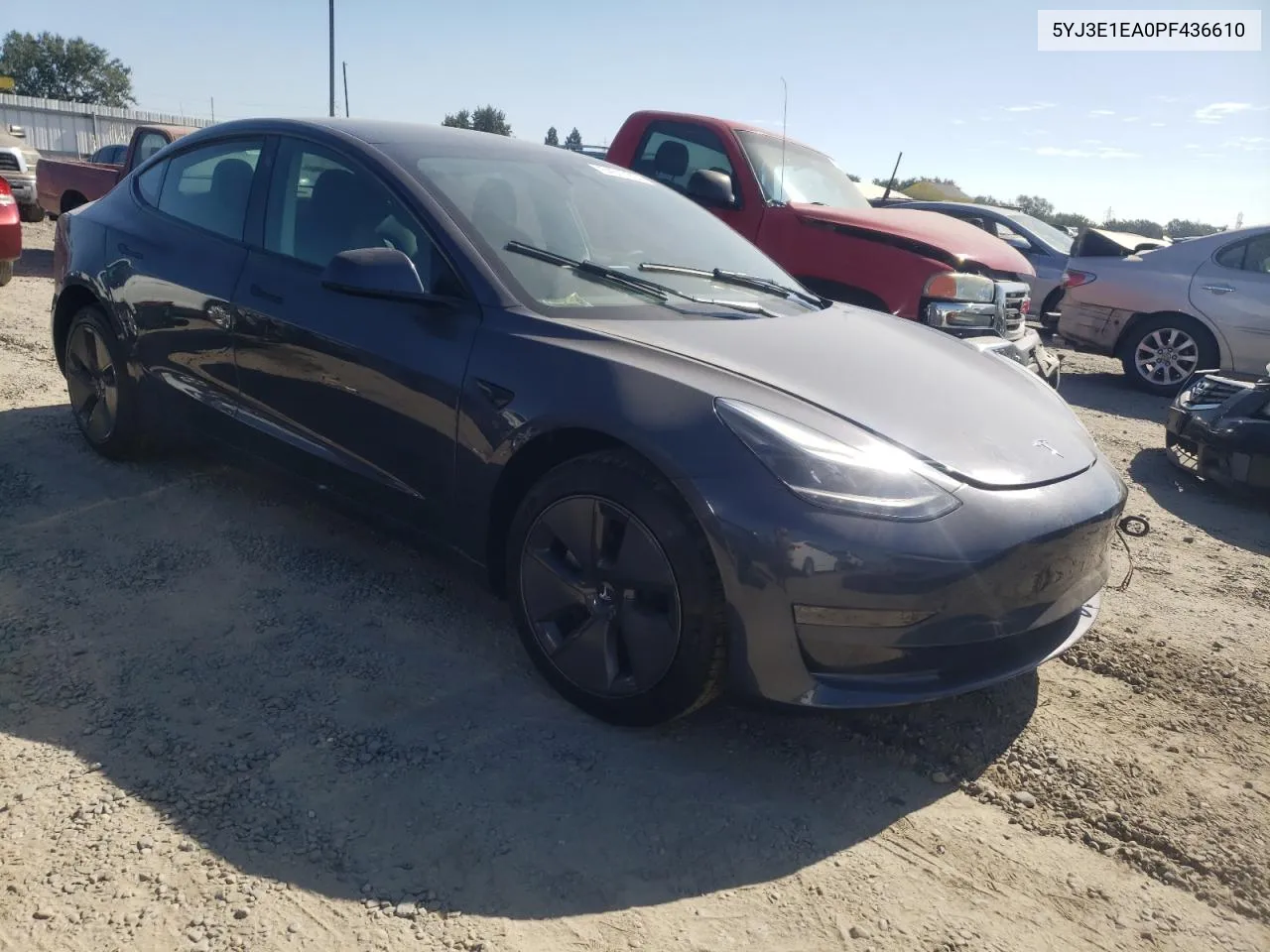 2023 Tesla Model 3 VIN: 5YJ3E1EA0PF436610 Lot: 64517904