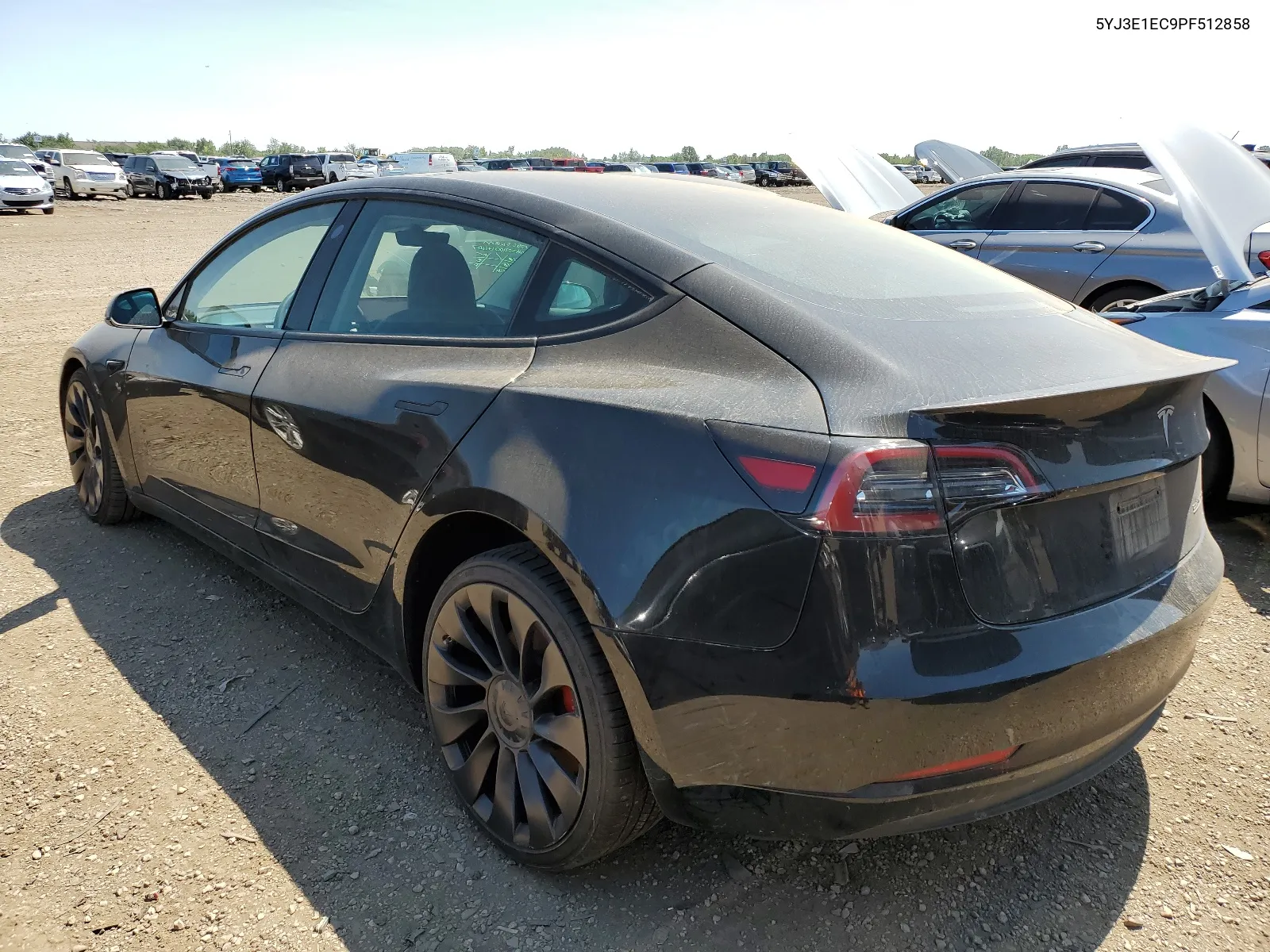 2023 Tesla Model 3 VIN: 5YJ3E1EC9PF512858 Lot: 64658844