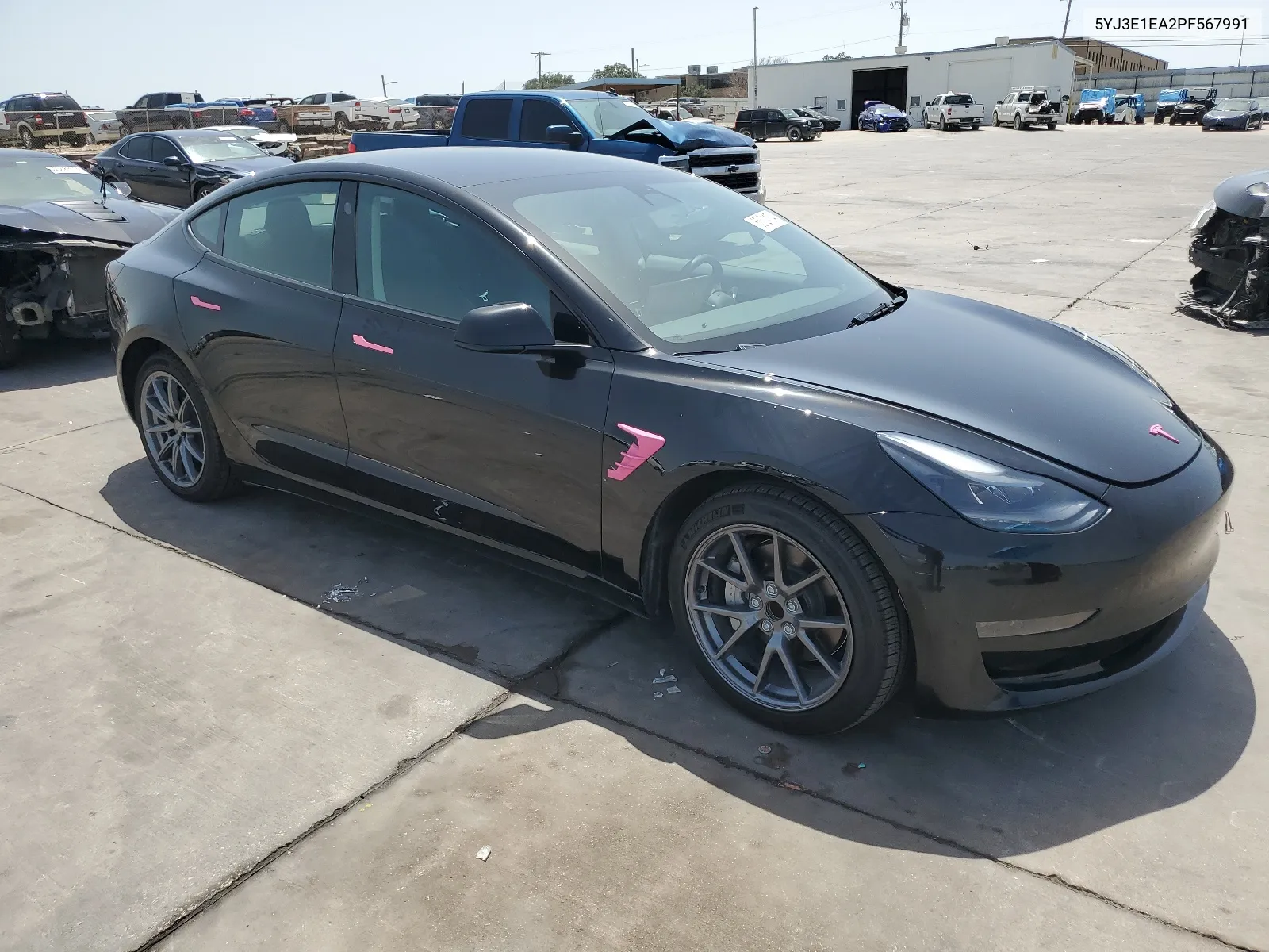 2023 Tesla Model 3 VIN: 5YJ3E1EA2PF567991 Lot: 65724164