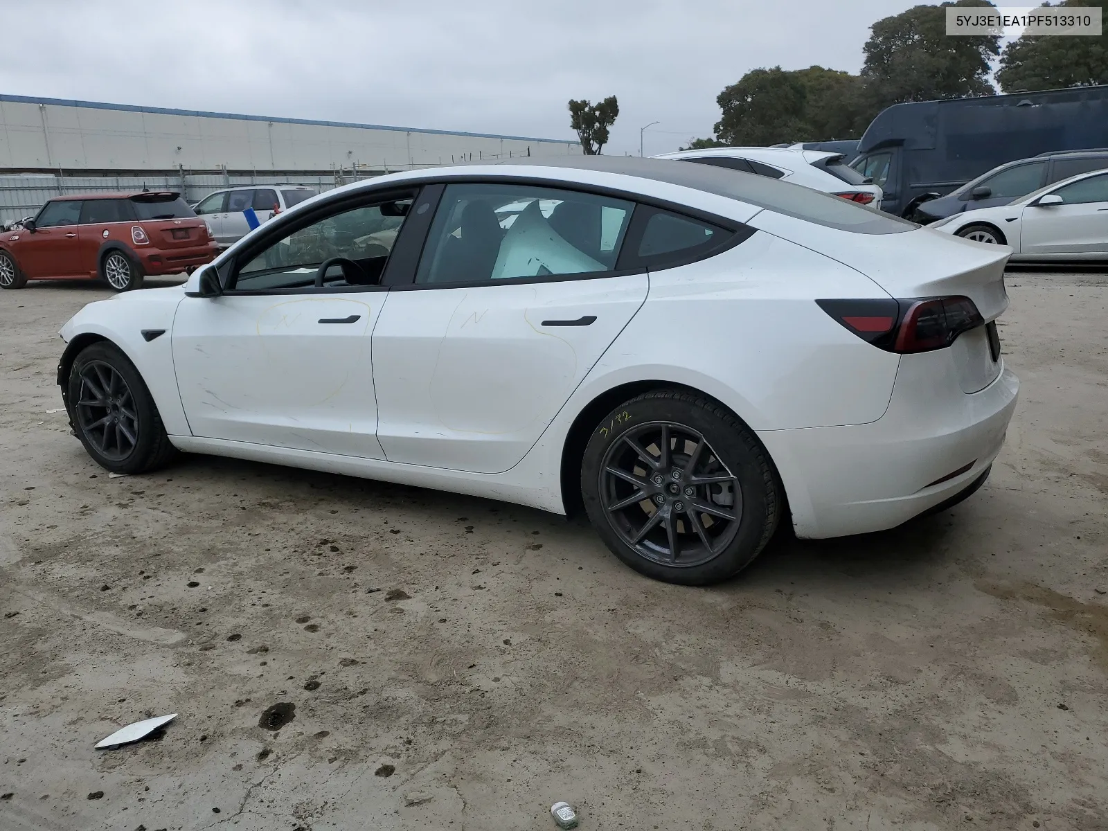 2023 Tesla Model 3 VIN: 5YJ3E1EA1PF513310 Lot: 65829724