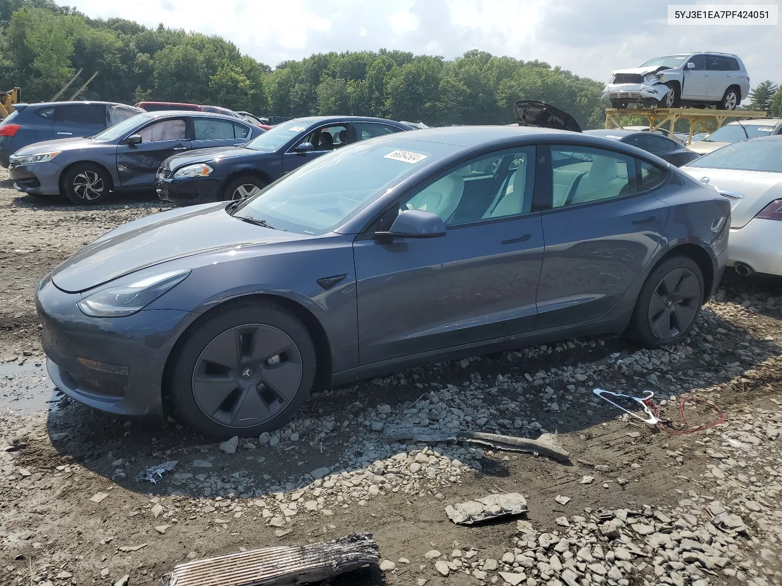 2023 Tesla Model 3 VIN: 5YJ3E1EA7PF424051 Lot: 66064504