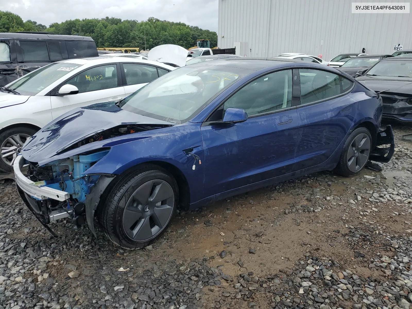 2023 Tesla Model 3 VIN: 5YJ3E1EA4PF643081 Lot: 66134164