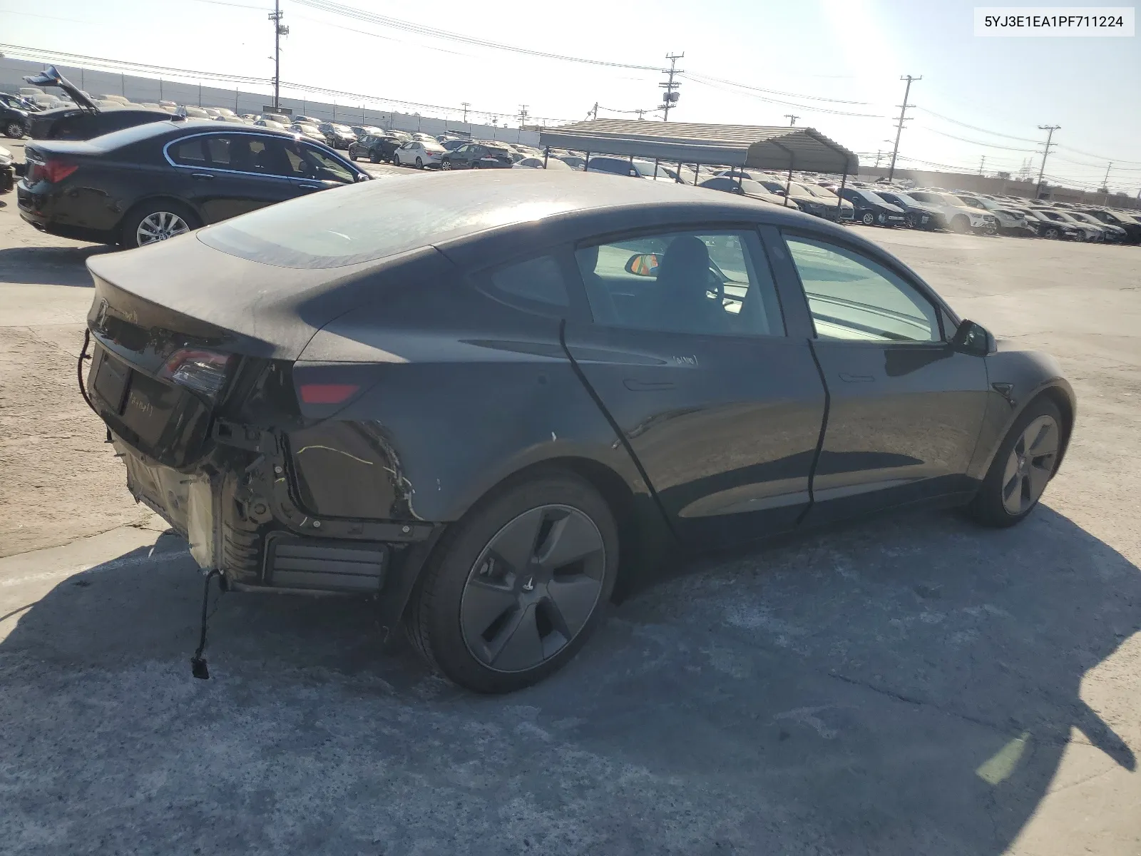 2023 Tesla Model 3 VIN: 5YJ3E1EA1PF711224 Lot: 66149774