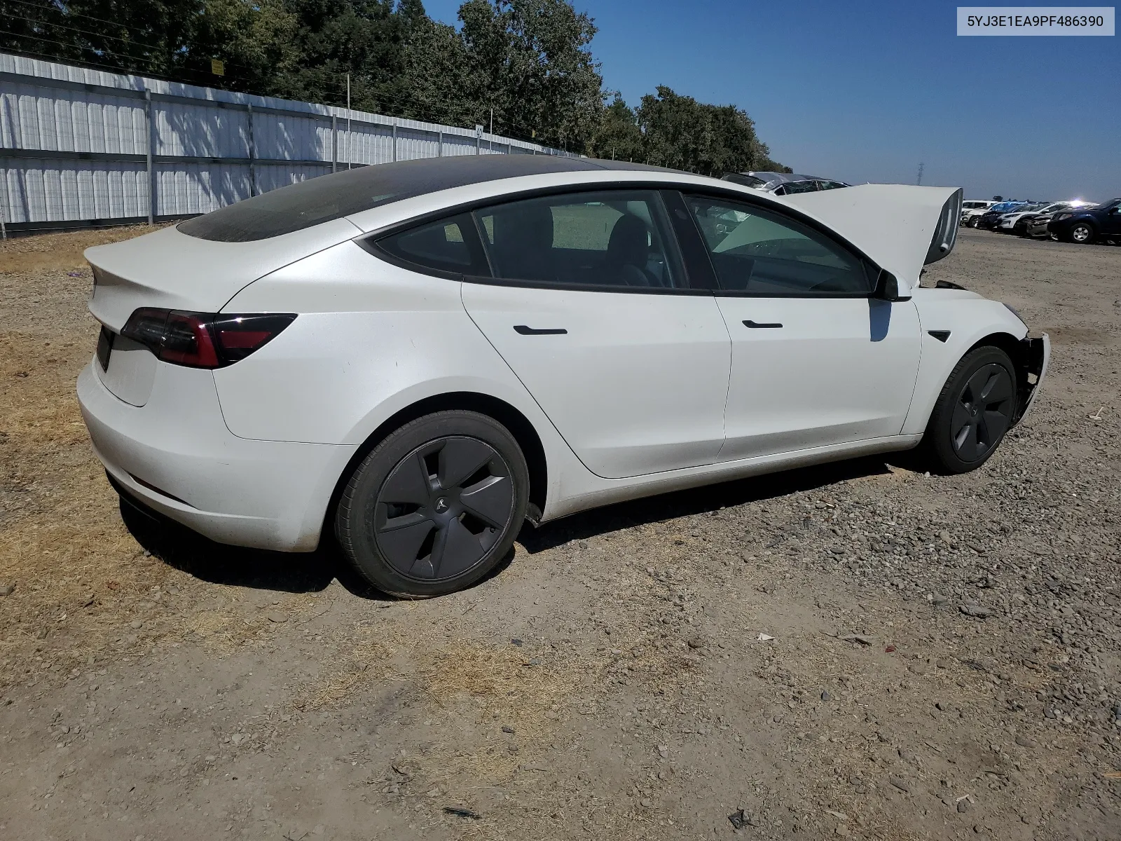 2023 Tesla Model 3 VIN: 5YJ3E1EA9PF486390 Lot: 66158644