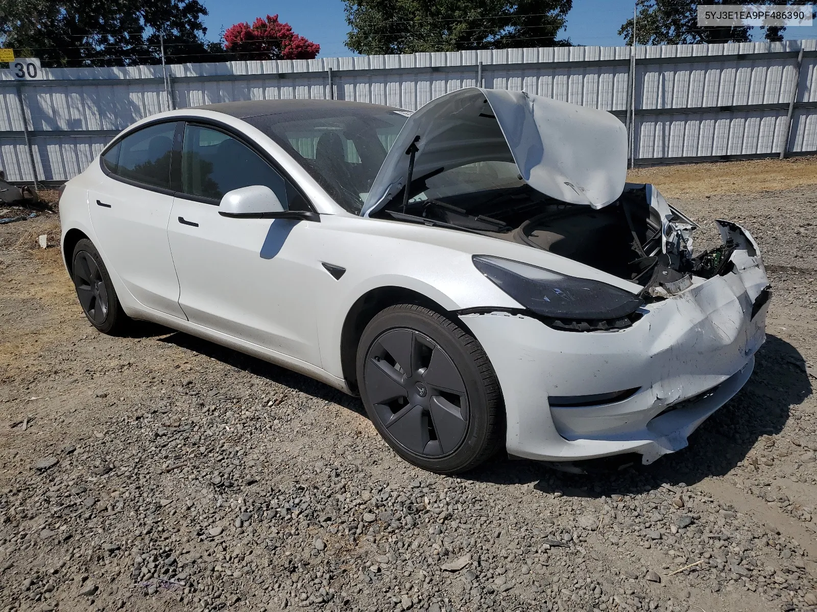 2023 Tesla Model 3 VIN: 5YJ3E1EA9PF486390 Lot: 66158644