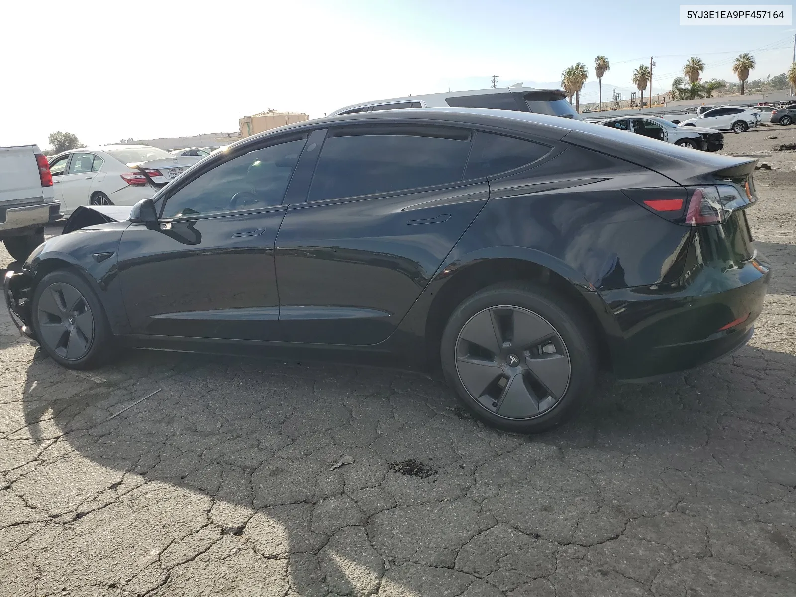 2023 Tesla Model 3 VIN: 5YJ3E1EA9PF457164 Lot: 66233434