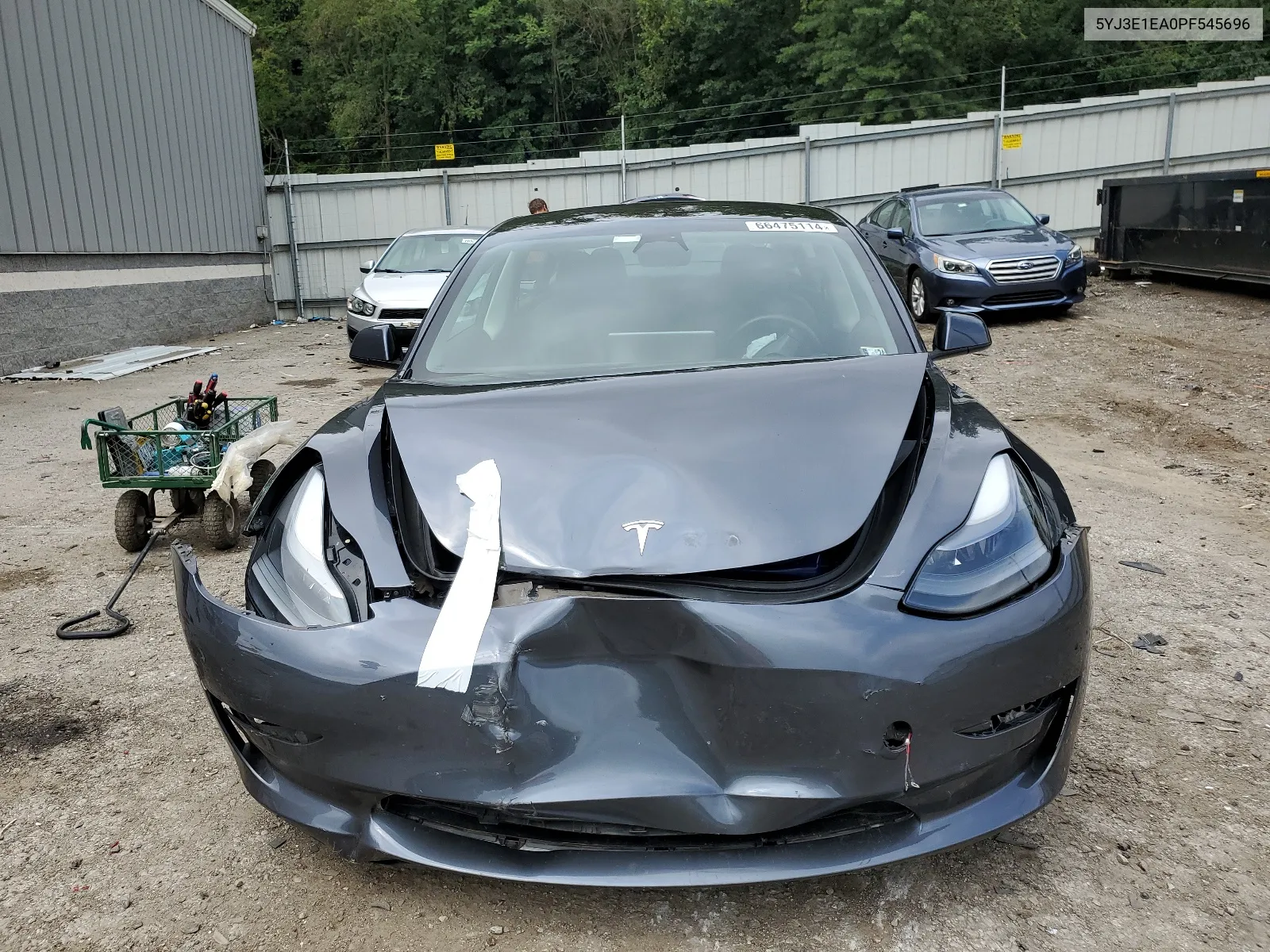 2023 Tesla Model 3 VIN: 5YJ3E1EA0PF545696 Lot: 66475114