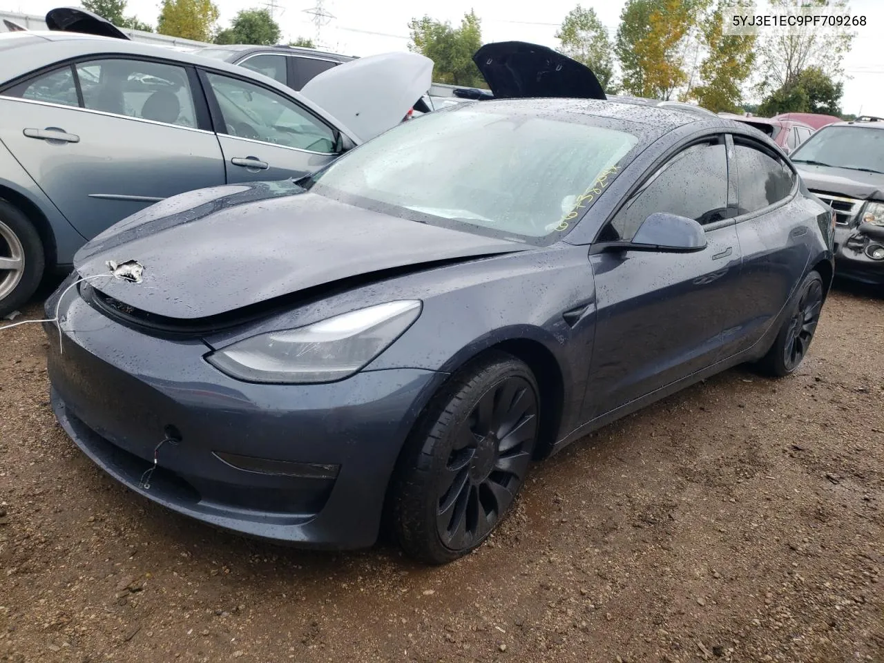 2023 Tesla Model 3 VIN: 5YJ3E1EC9PF709268 Lot: 66738204