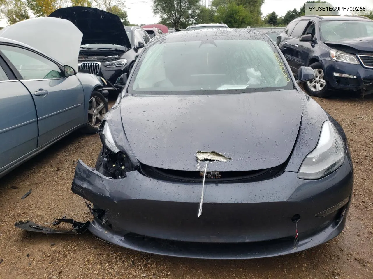 2023 Tesla Model 3 VIN: 5YJ3E1EC9PF709268 Lot: 66738204