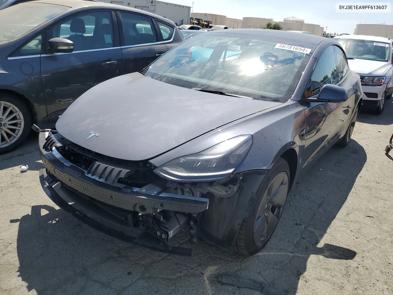 2023 Tesla Model 3 VIN: 5YJ3E1EA9PF613607 Lot: 66781654