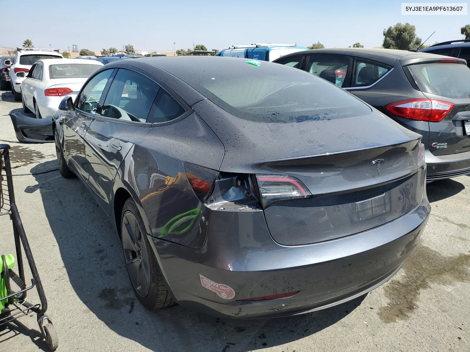 2023 Tesla Model 3 VIN: 5YJ3E1EA9PF613607 Lot: 66781654