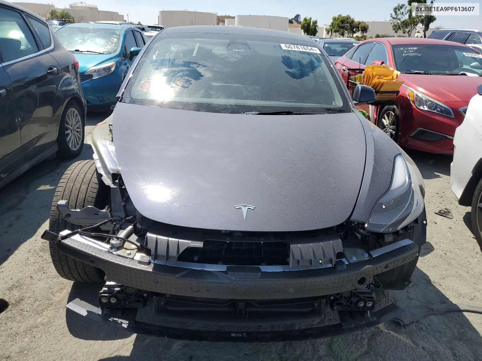 2023 Tesla Model 3 VIN: 5YJ3E1EA9PF613607 Lot: 66781654