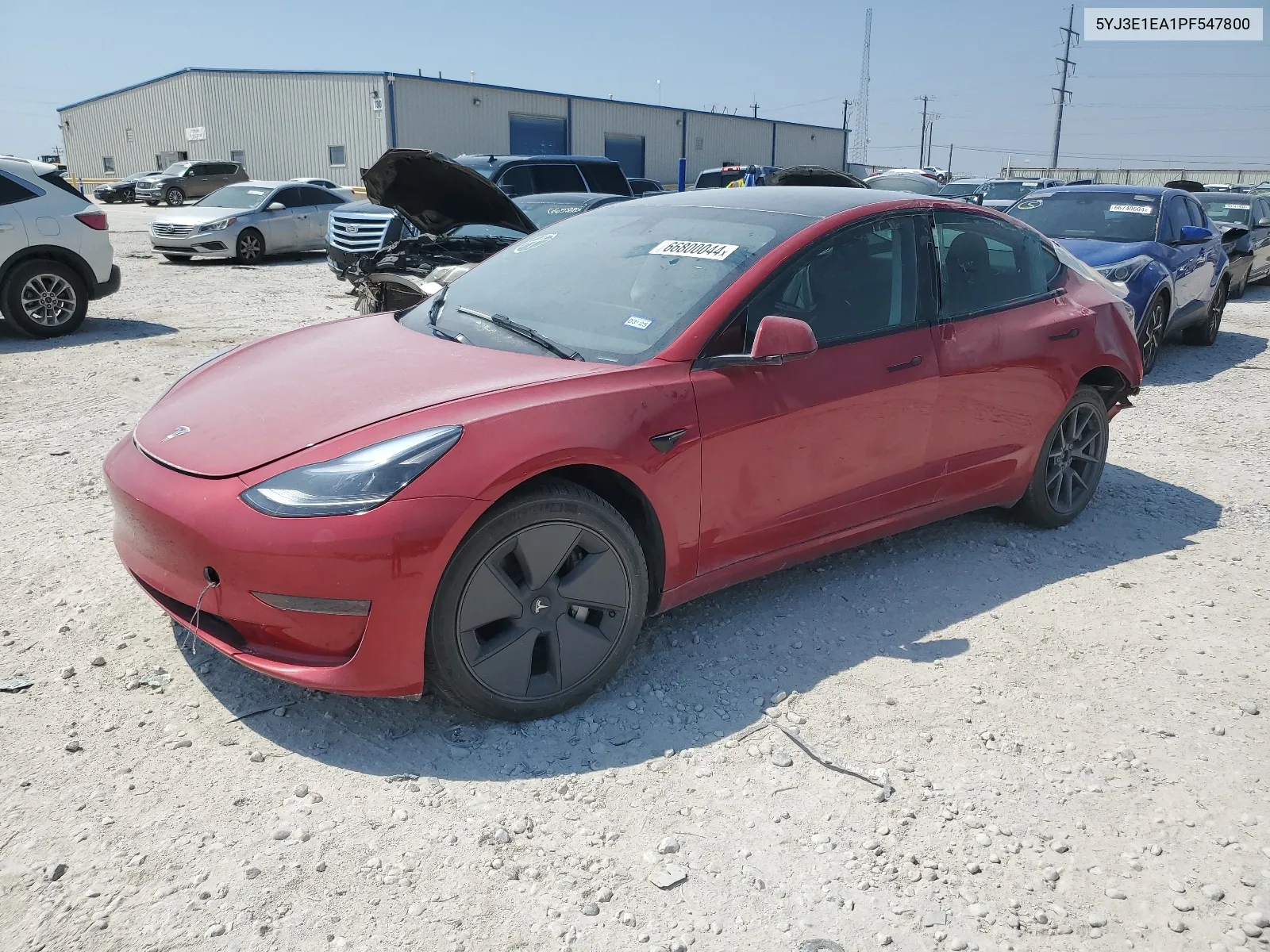 2023 Tesla Model 3 VIN: 5YJ3E1EA1PF547800 Lot: 66800044