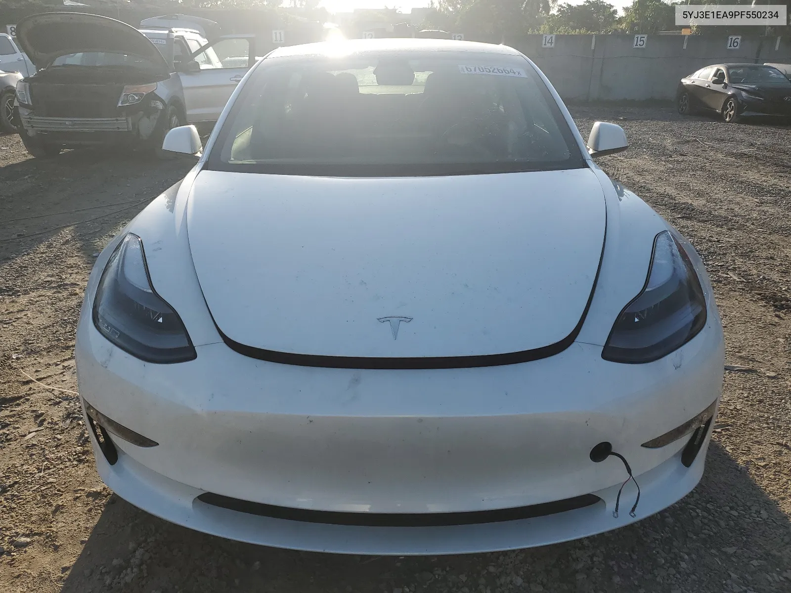 2023 Tesla Model 3 VIN: 5YJ3E1EA9PF550234 Lot: 67052664