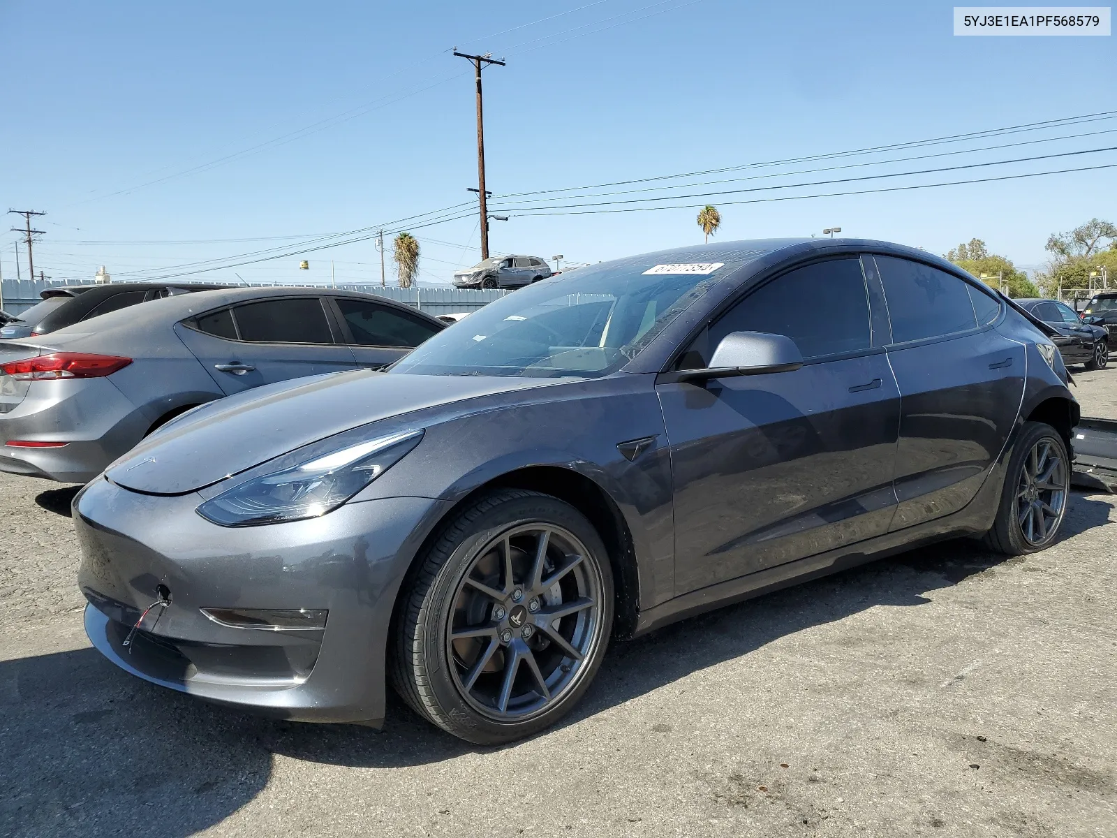 2023 Tesla Model 3 VIN: 5YJ3E1EA1PF568579 Lot: 67077354