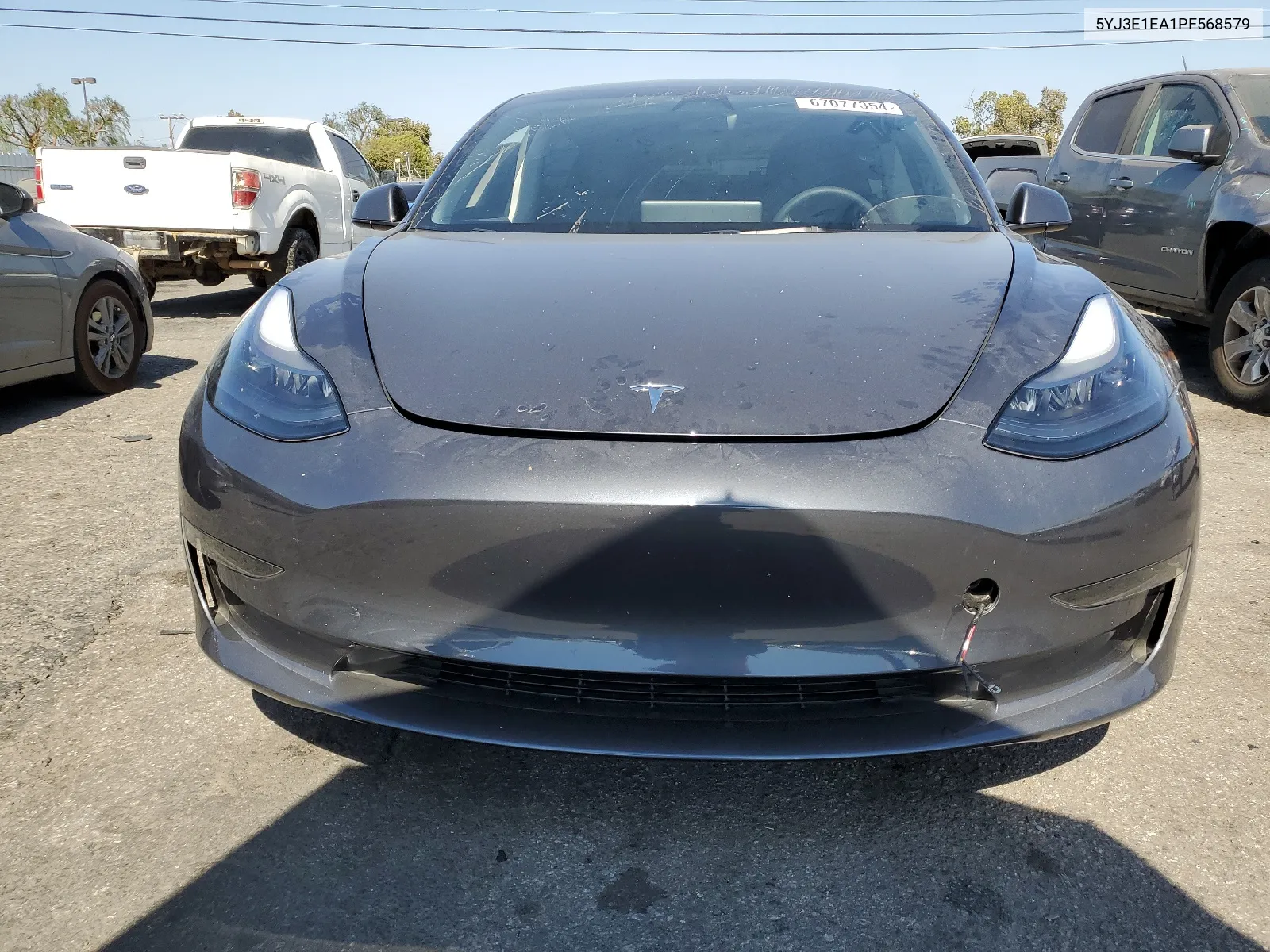 2023 Tesla Model 3 VIN: 5YJ3E1EA1PF568579 Lot: 67077354