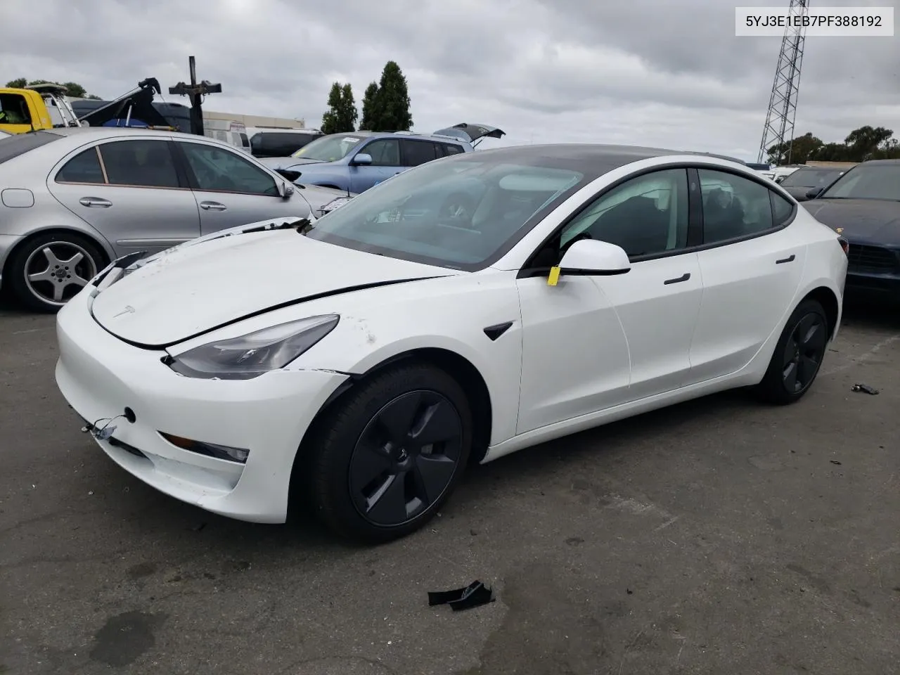 2023 Tesla Model 3 VIN: 5YJ3E1EB7PF388192 Lot: 68509194