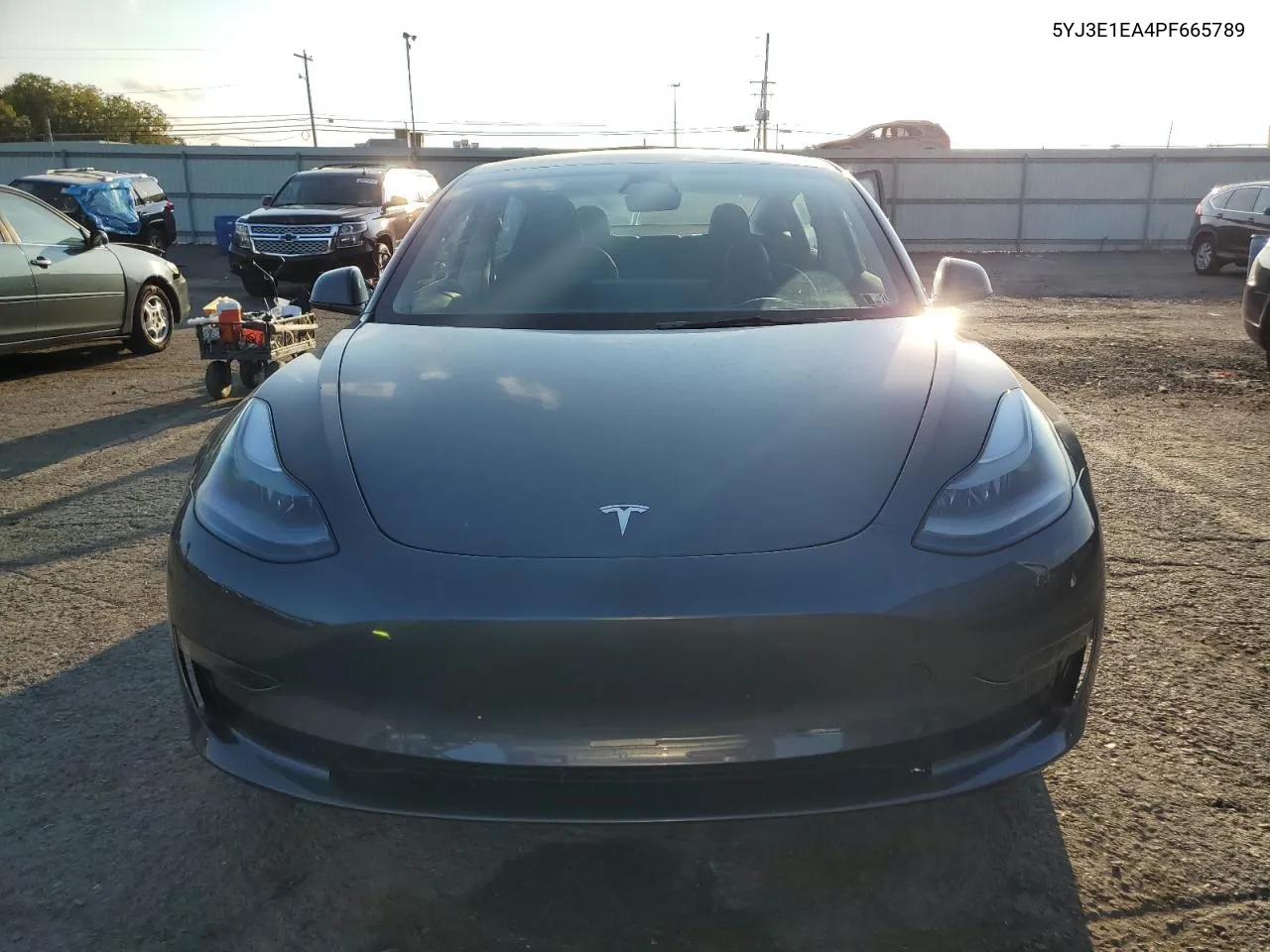 2023 Tesla Model 3 VIN: 5YJ3E1EA4PF665789 Lot: 69267094