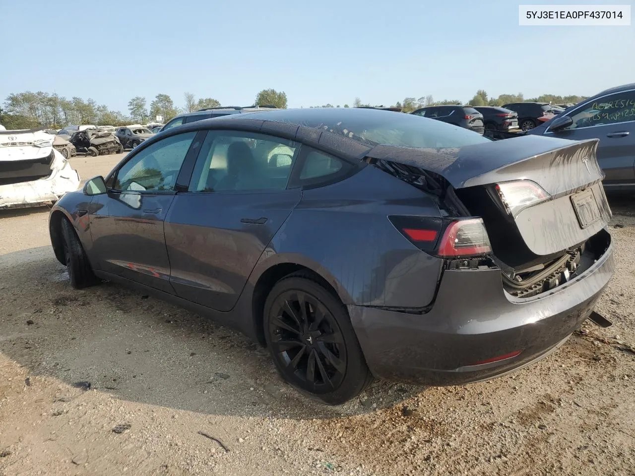 2023 Tesla Model 3 VIN: 5YJ3E1EA0PF437014 Lot: 69302814