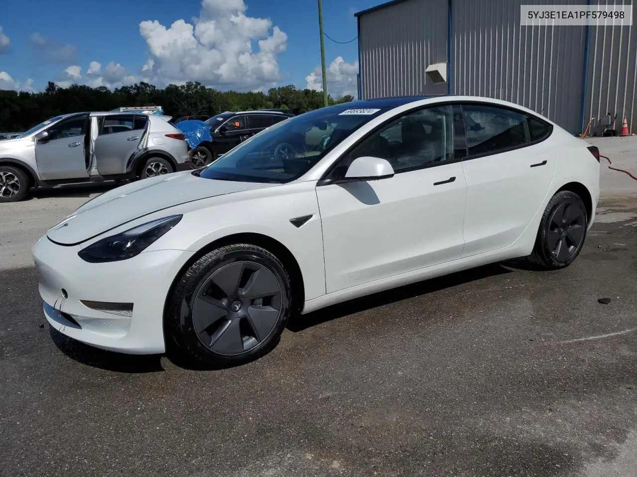 2023 Tesla Model 3 VIN: 5YJ3E1EA1PF579498 Lot: 69693824