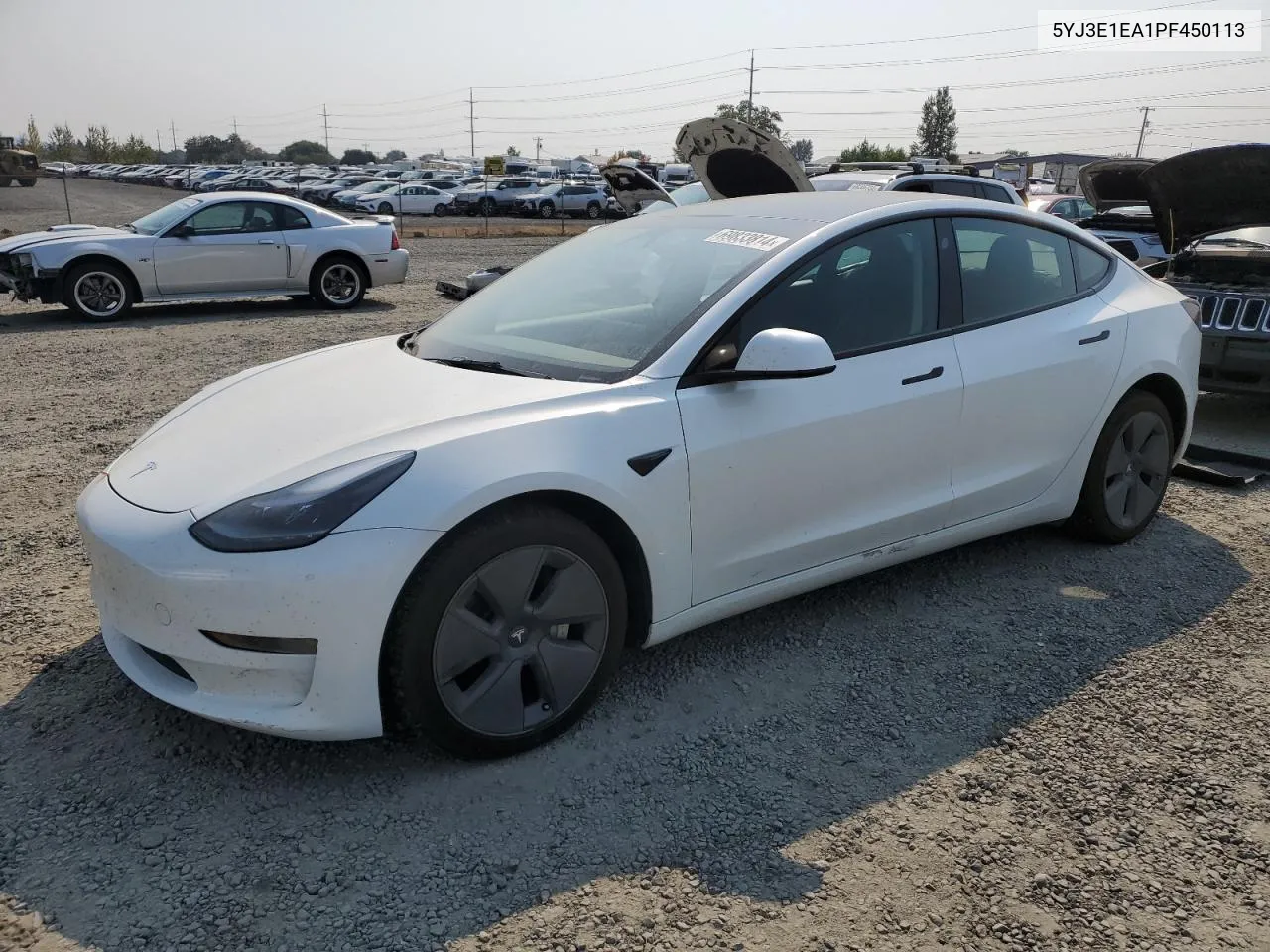 2023 Tesla Model 3 VIN: 5YJ3E1EA1PF450113 Lot: 69833814