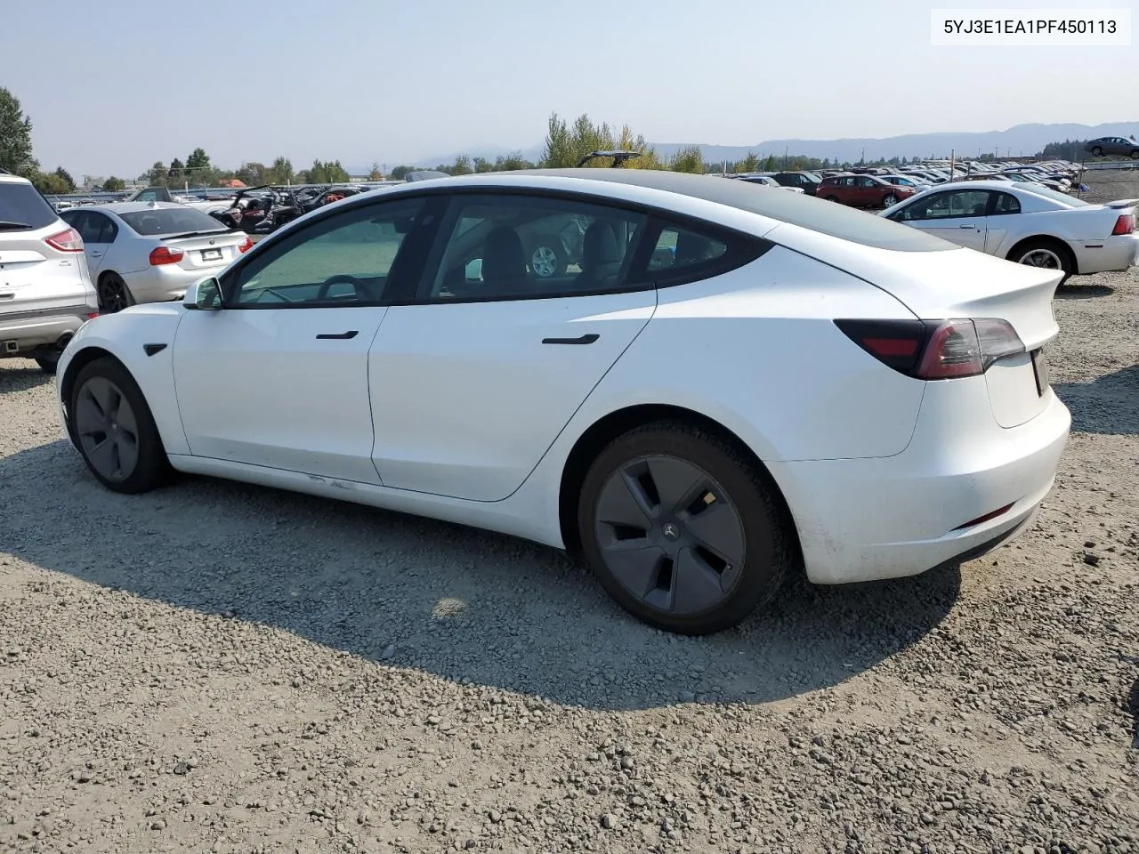 5YJ3E1EA1PF450113 2023 Tesla Model 3