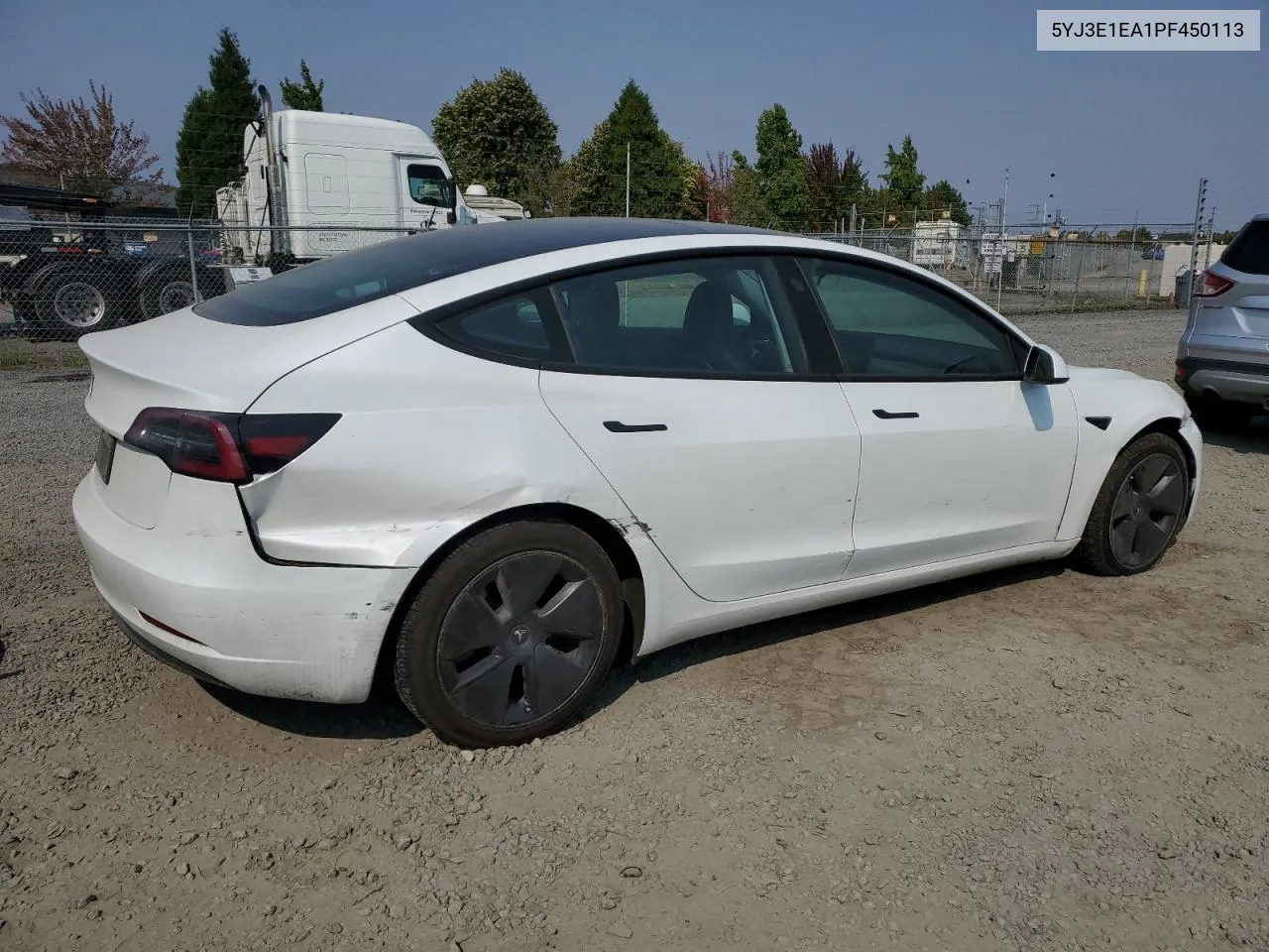 2023 Tesla Model 3 VIN: 5YJ3E1EA1PF450113 Lot: 69833814