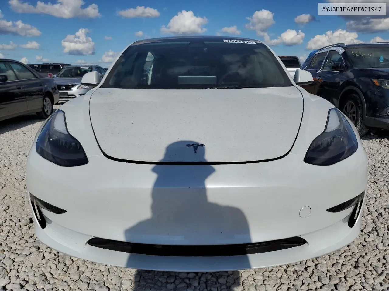 2023 Tesla Model 3 VIN: 5YJ3E1EA6PF601947 Lot: 70065034