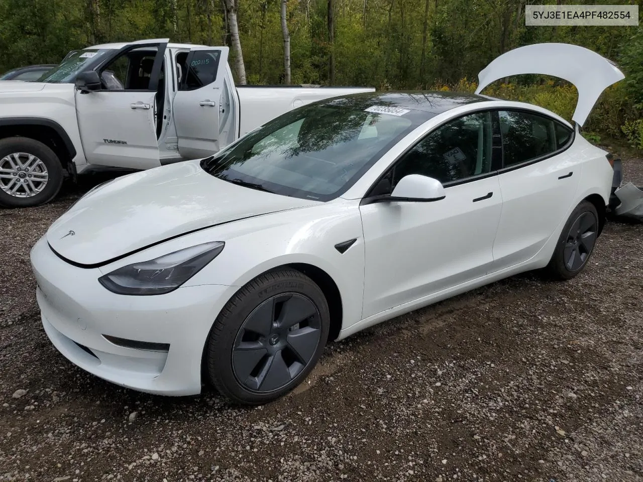 2023 Tesla Model 3 VIN: 5YJ3E1EA4PF482554 Lot: 70235054