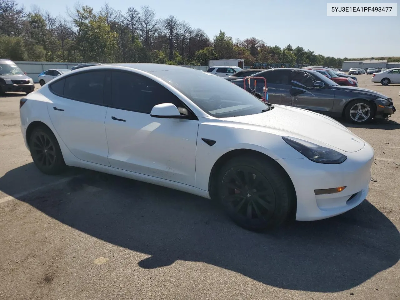 2023 Tesla Model 3 VIN: 5YJ3E1EA1PF493477 Lot: 70606444