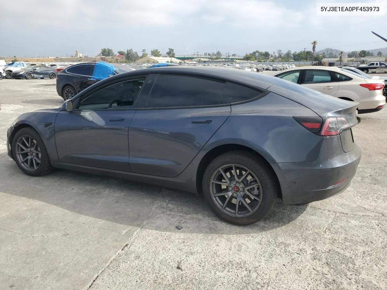 2023 Tesla Model 3 VIN: 5YJ3E1EA0PF453973 Lot: 71079304