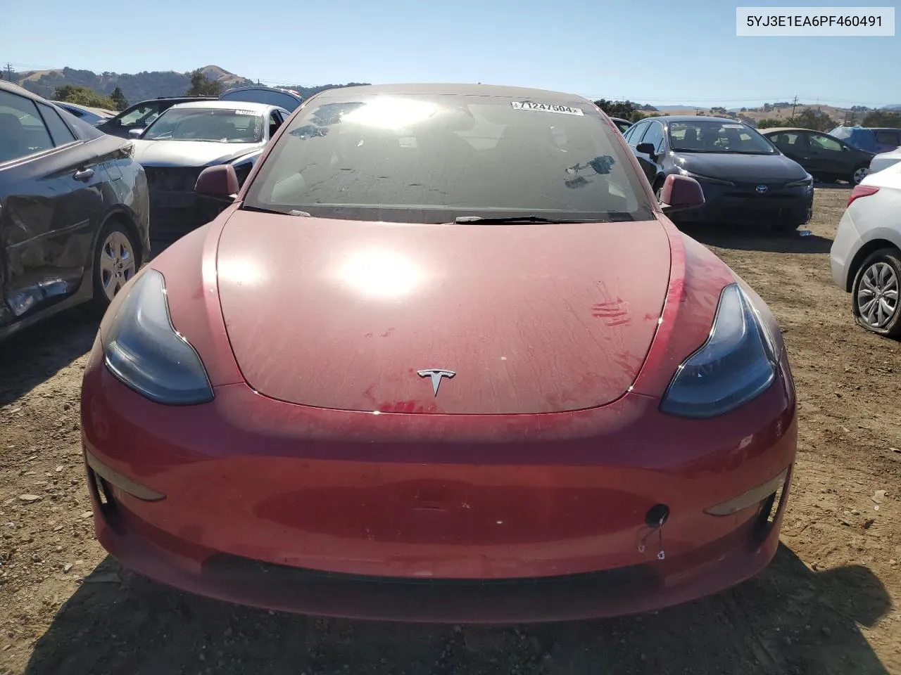 5YJ3E1EA6PF460491 2023 Tesla Model 3