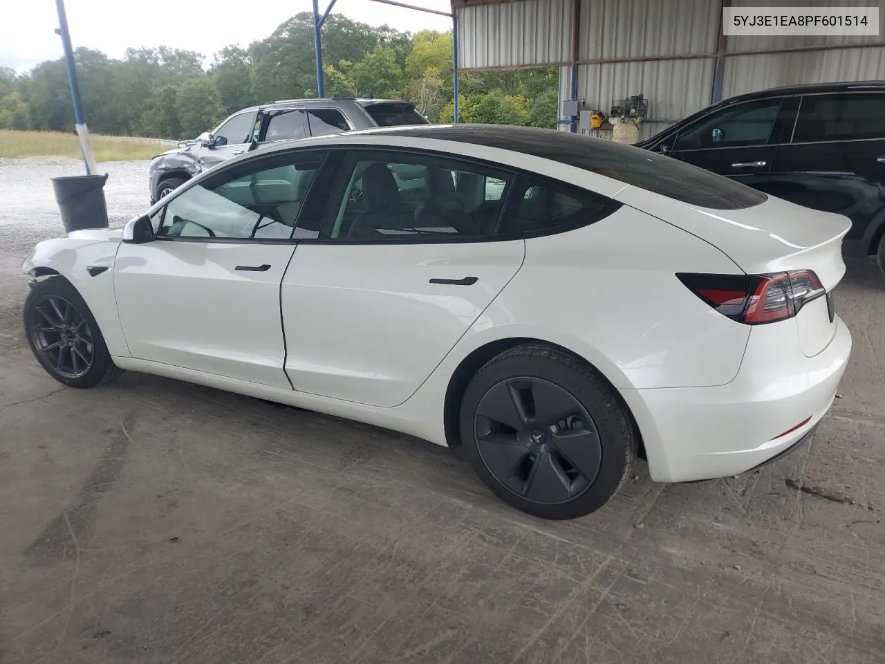 2023 Tesla Model 3 VIN: 5YJ3E1EA8PF601514 Lot: 71674974