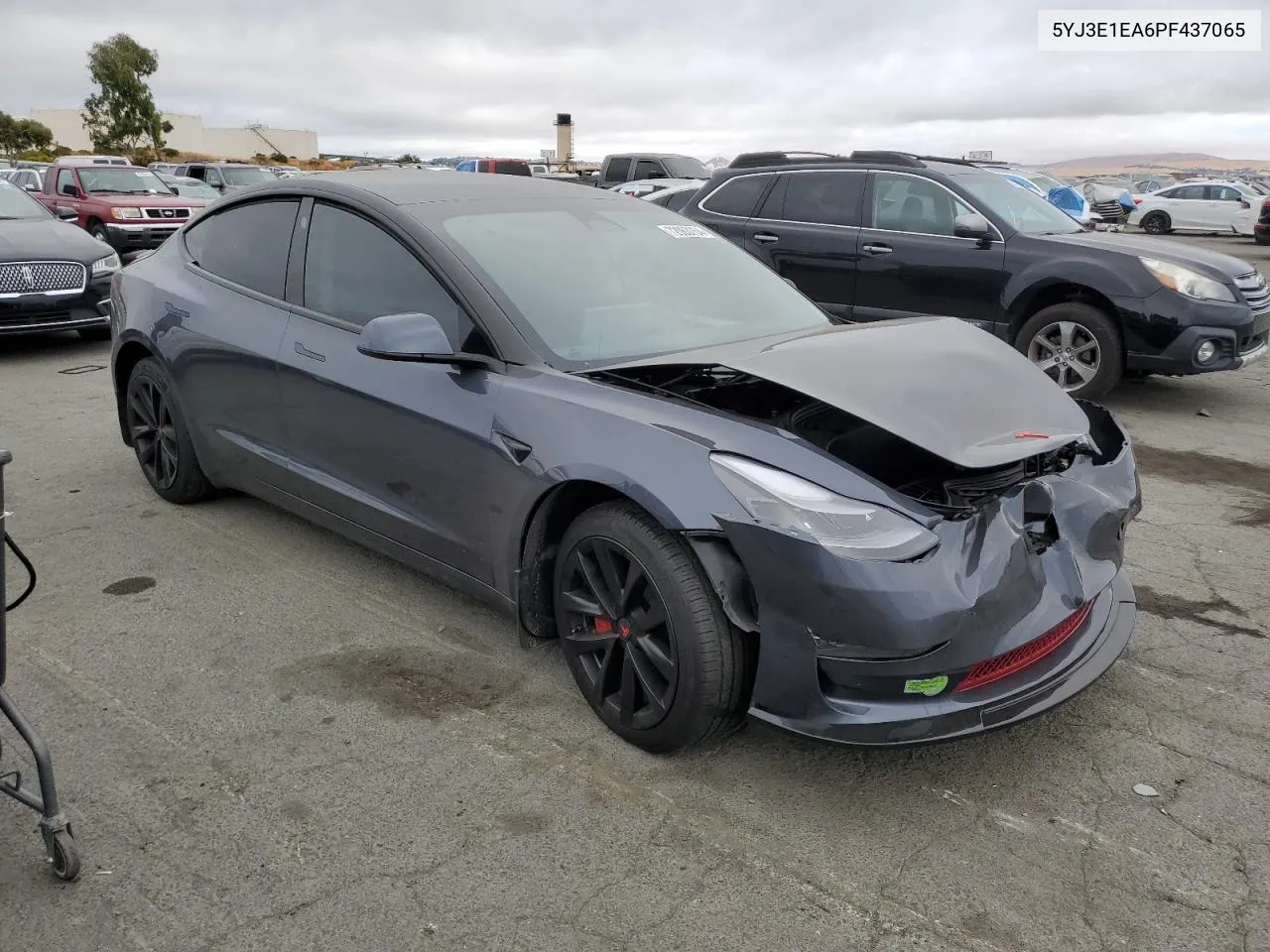 2023 Tesla Model 3 VIN: 5YJ3E1EA6PF437065 Lot: 72063754