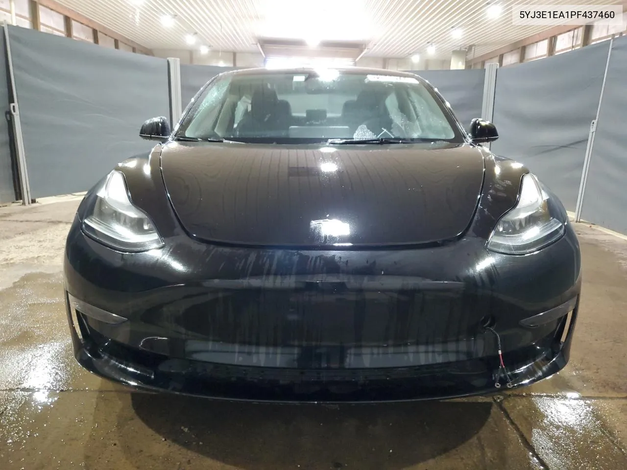 2023 Tesla Model 3 VIN: 5YJ3E1EA1PF437460 Lot: 72538744