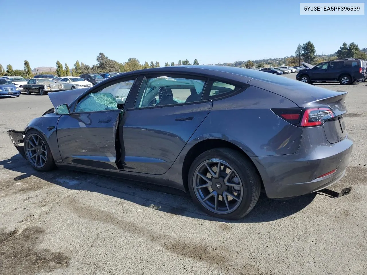 2023 Tesla Model 3 VIN: 5YJ3E1EA5PF396539 Lot: 73218204