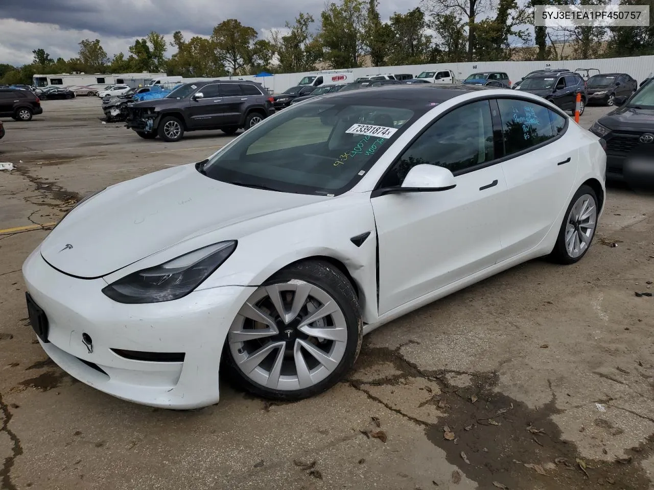 2023 Tesla Model 3 VIN: 5YJ3E1EA1PF450757 Lot: 73391874