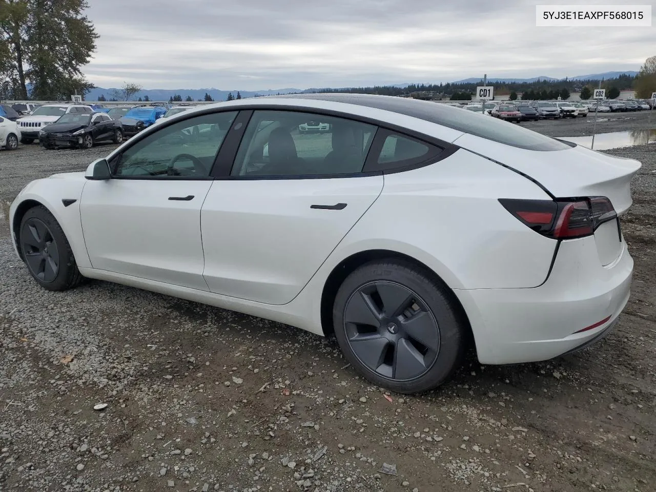 2023 Tesla Model 3 VIN: 5YJ3E1EAXPF568015 Lot: 73502654