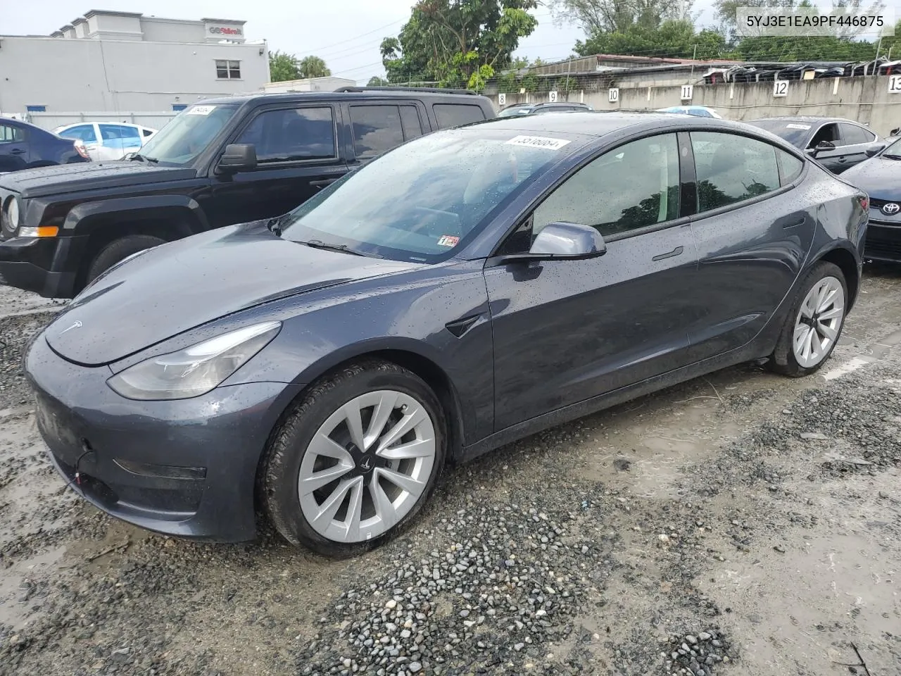 2023 Tesla Model 3 VIN: 5YJ3E1EA9PF446875 Lot: 73516084