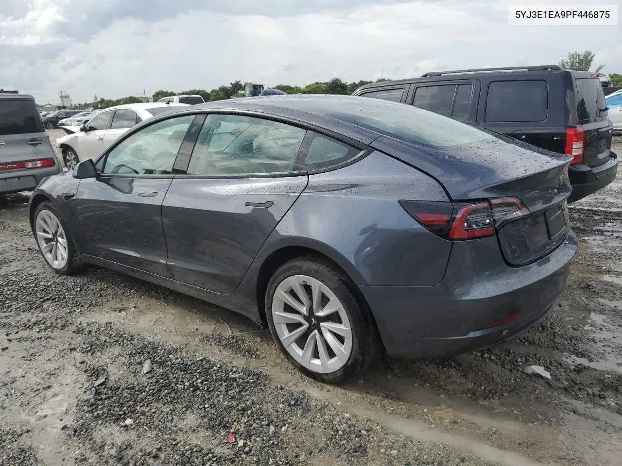 2023 Tesla Model 3 VIN: 5YJ3E1EA9PF446875 Lot: 73516084