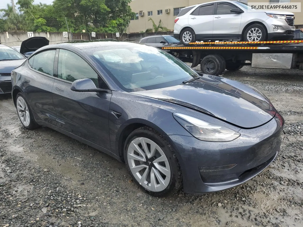 2023 Tesla Model 3 VIN: 5YJ3E1EA9PF446875 Lot: 73516084