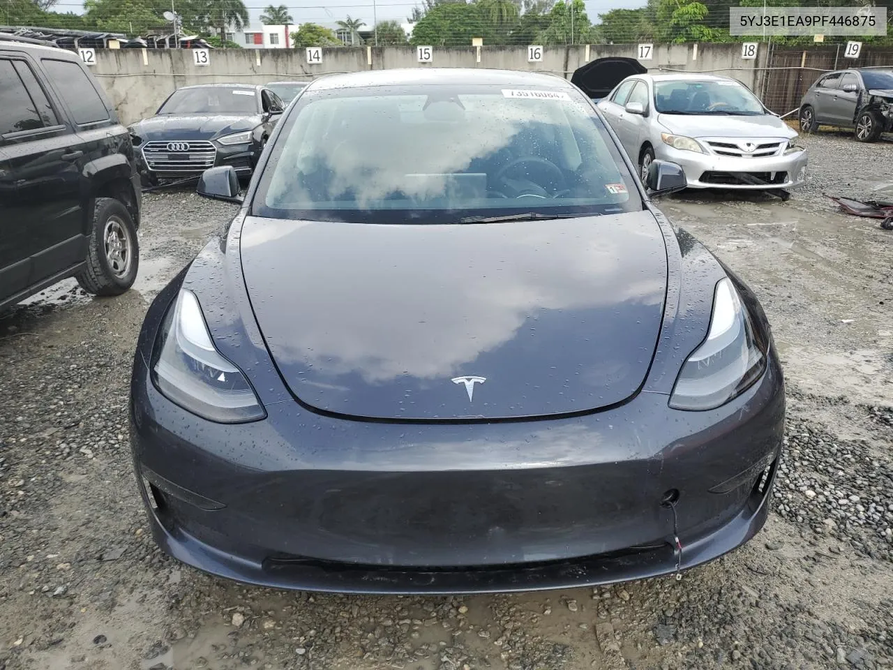 2023 Tesla Model 3 VIN: 5YJ3E1EA9PF446875 Lot: 73516084